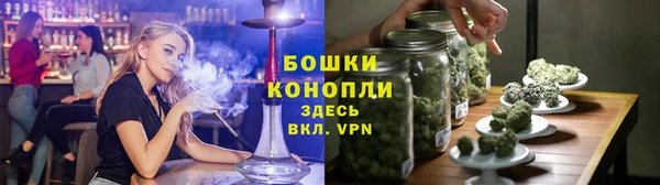 сатива Аркадак