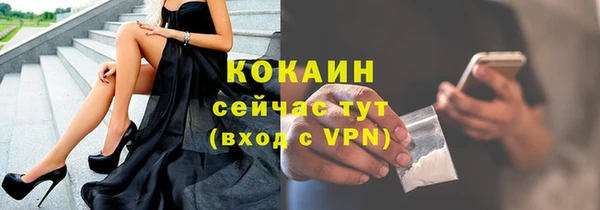 сатива Аркадак