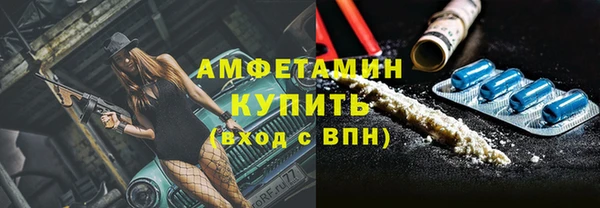 сатива Аркадак