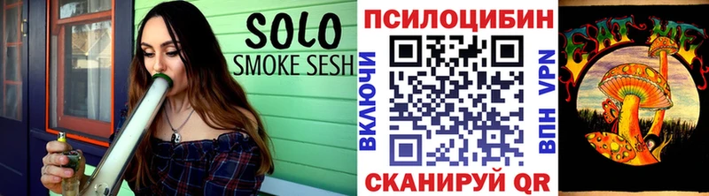 мориарти наркотические препараты  цены   Петрозаводск  Псилоцибиновые грибы прущие грибы 
