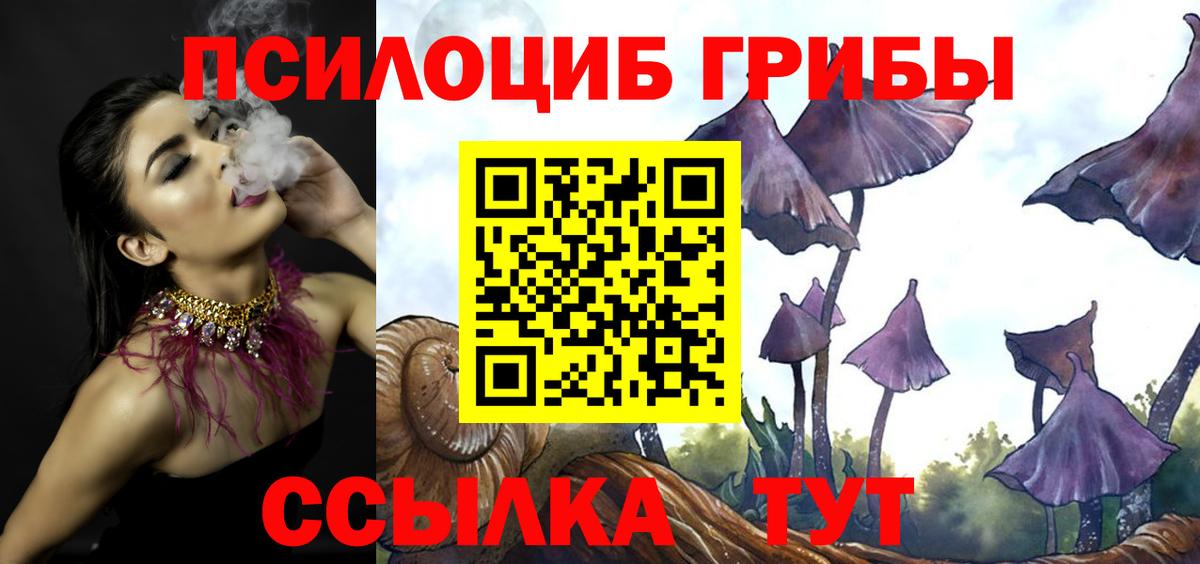 Псилоцибиновые грибы GOLDEN TEACHER  Вход с VPN  Петрозаводск 